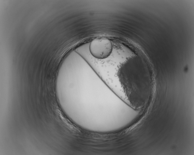 X0000116270833200911301014