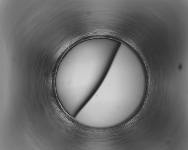 X0000116270834200911301014