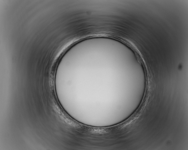 X0000116270835200911301014