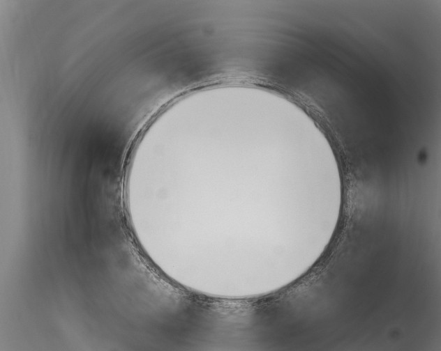 X0000116270836200911301014