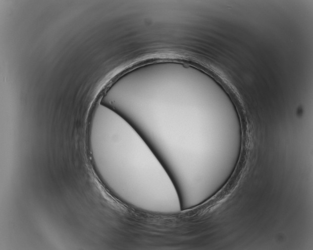 X0000116270837200911301014