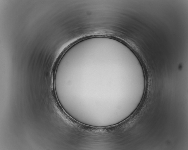 X0000116270838200911301015