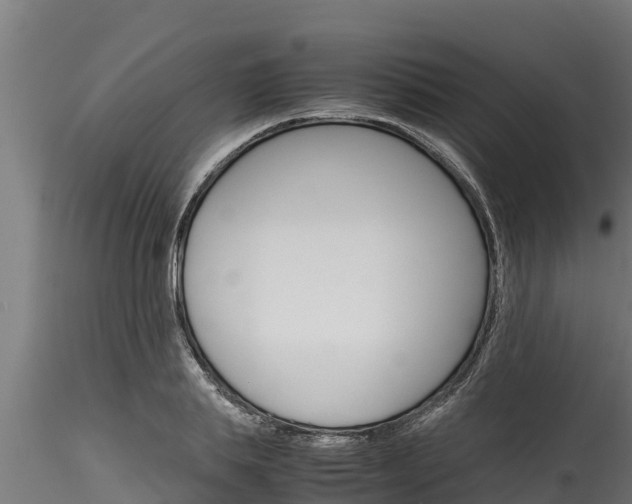 X0000116270839200911301015