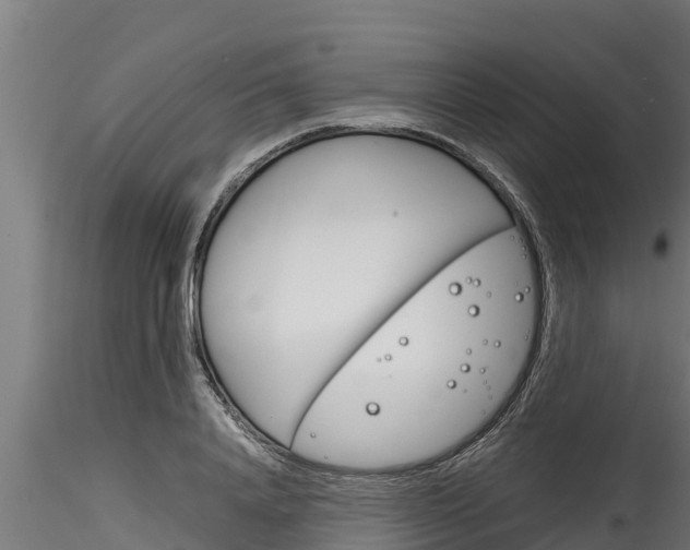 X0000116270840200911301015