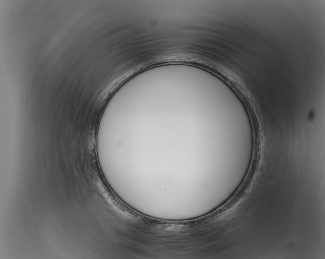 X0000116270841200911301015