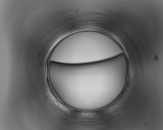 X0000116270843200911301015