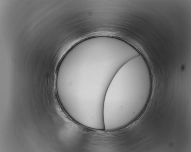 X0000116270844200911301015