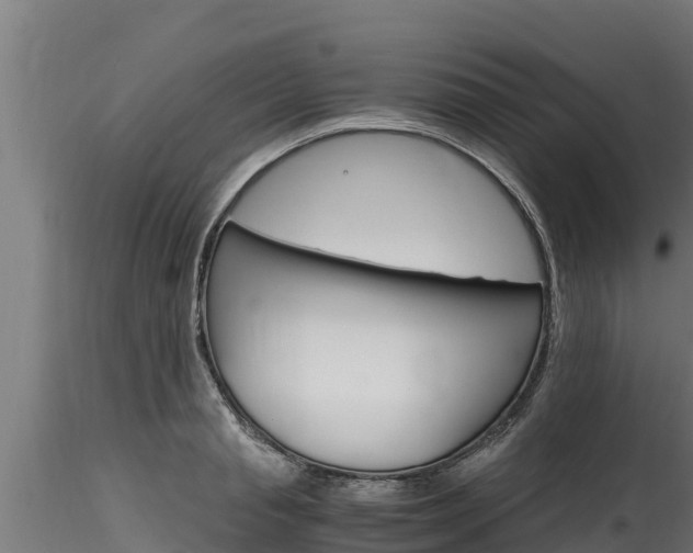 X0000116270845200911301015
