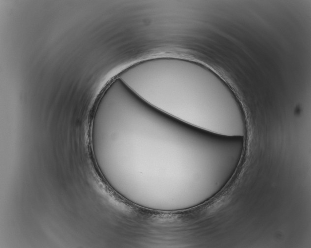 X0000116270846200911301015
