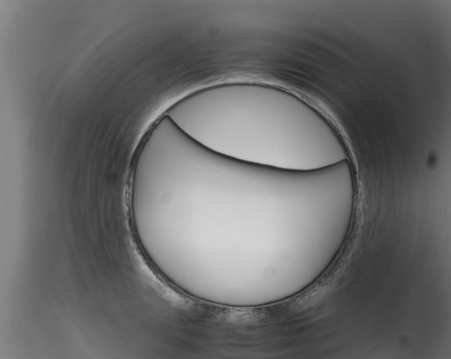X0000116270847200911301015