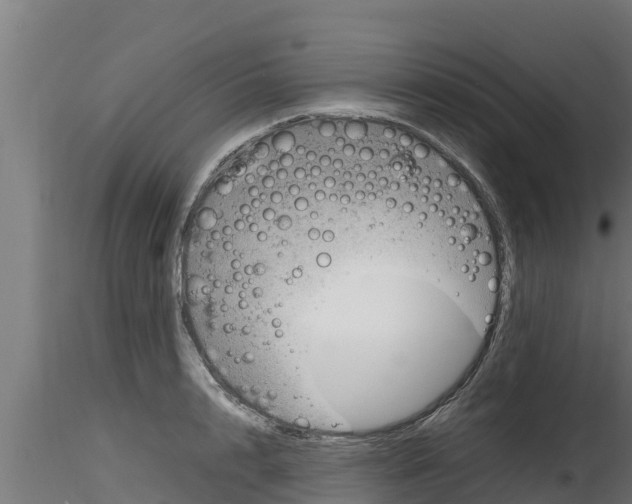 X0000116270848200911301015