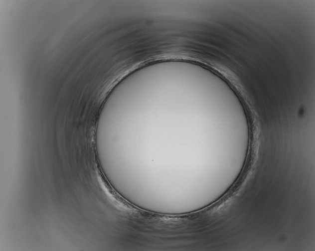 X0000116270849200911301015