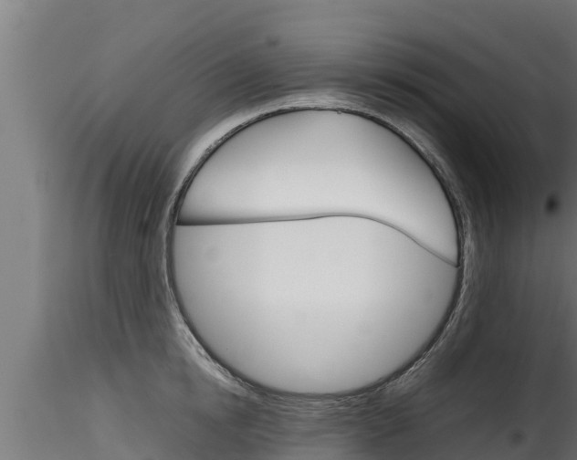 X0000116270854200911301015
