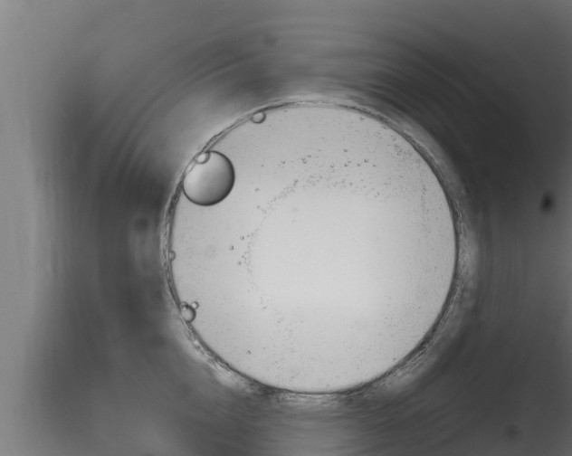 X0000116270856200911301015