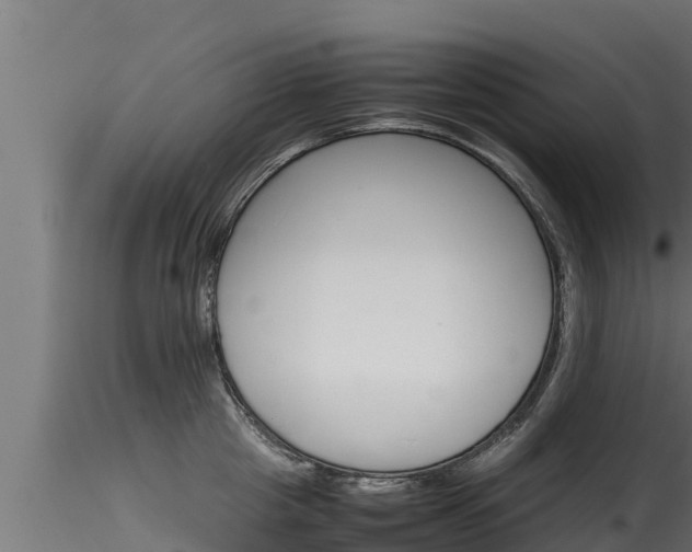 X0000116270857200911301015