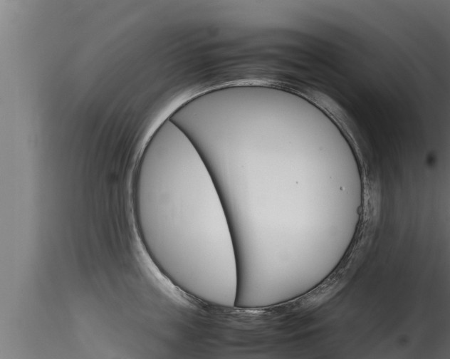 X0000116270859200911301015