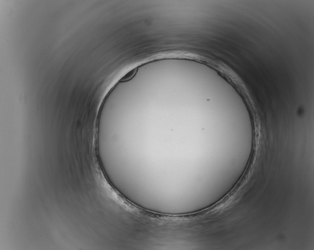 X0000116270860200911301015
