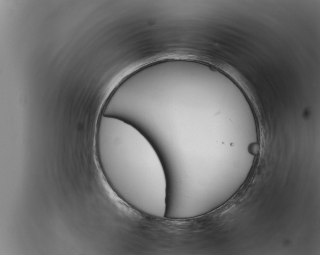 X0000116270861200911301015