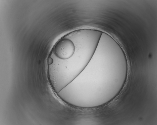 X0000116270862200911301015