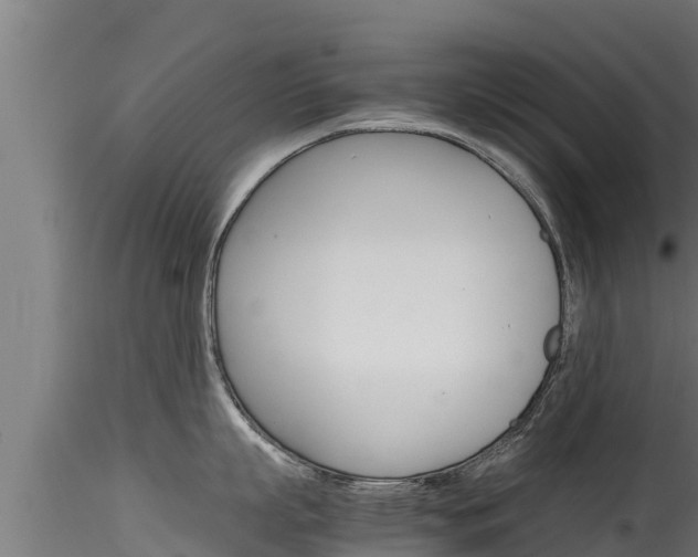 X0000116270863200911301015