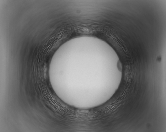 X0000116270866200911301014