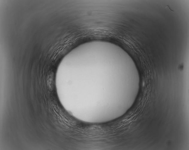 X0000116270867200911301014
