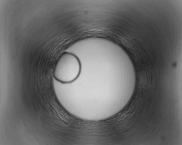 X0000116270868200911301014