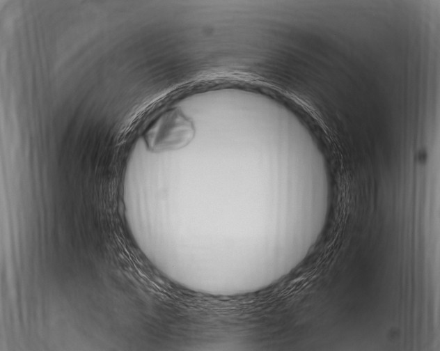 X0000116270872200911301014