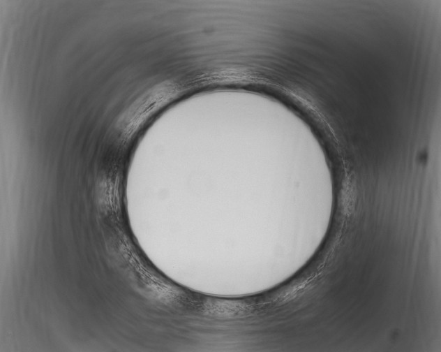 X0000116270873200911301014