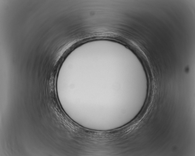 X0000116270875200911301014