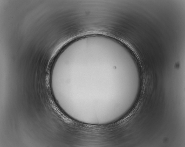 X0000116270878200911301014