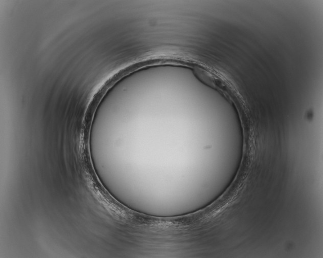 X0000116270880200911301014