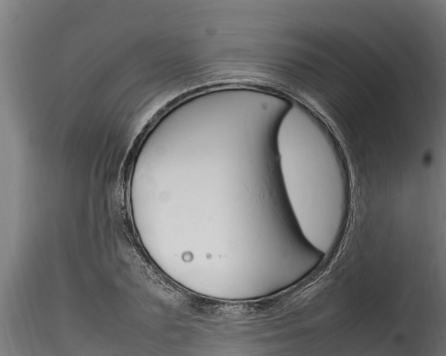 X0000116270883200911301014
