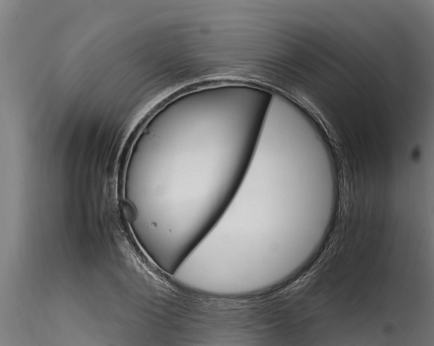 X0000116270884200911301014