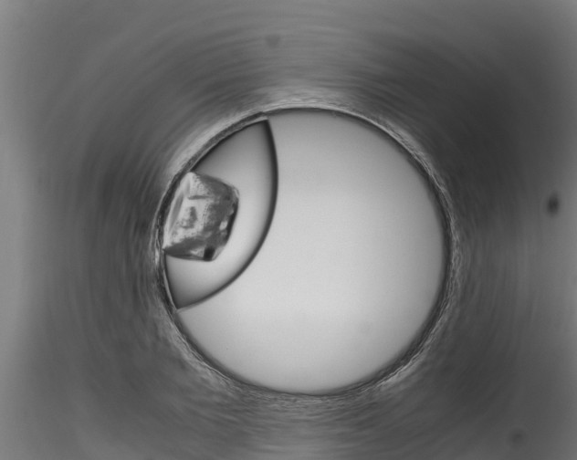 X0000116270885200911301014