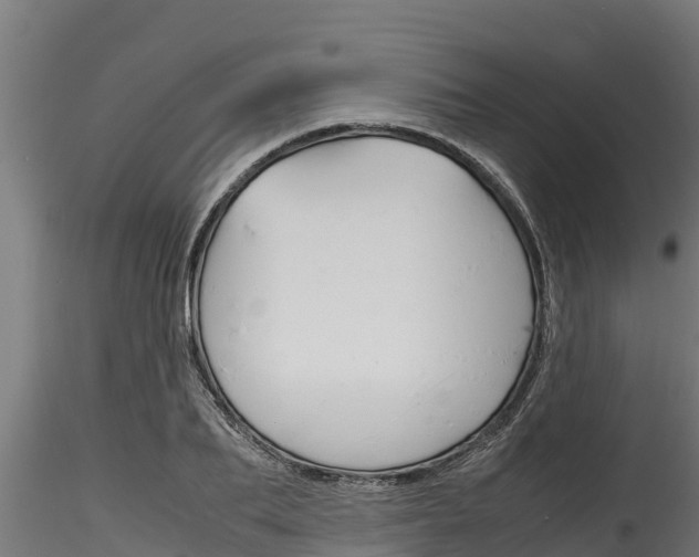 X0000116270887200911301014