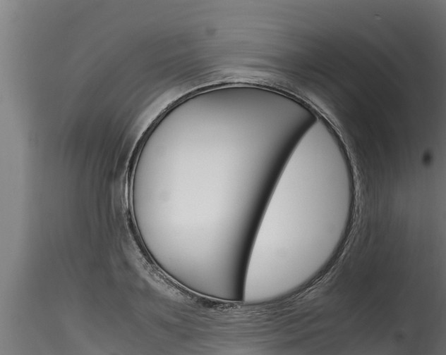 X0000116270891200911301014