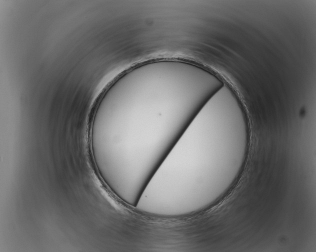 X0000116270894200911301014