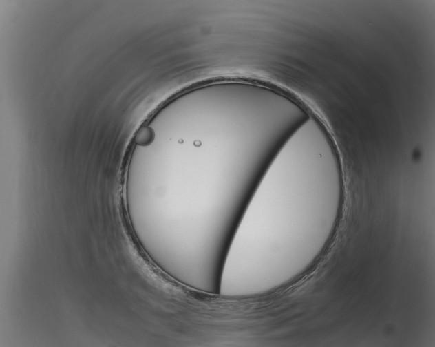 X0000116270895200911301014