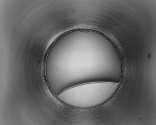 X0000116270896200911301014