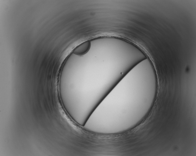 X0000116270898200911301014