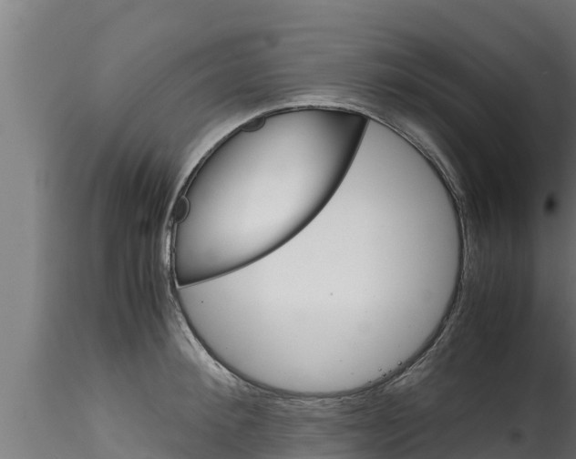 X0000116270900200911301014