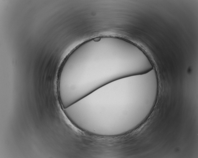 X0000116270902200911301014