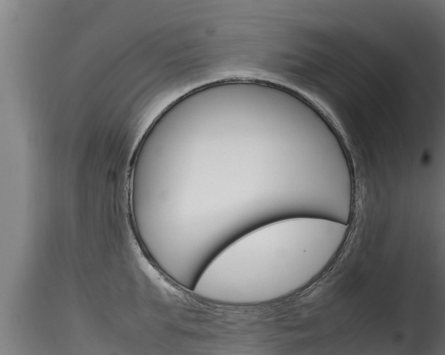 X0000116270903200911301014