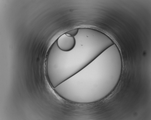 X0000116270906200911301014