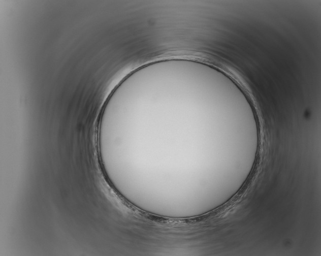 X0000116270907200911301014