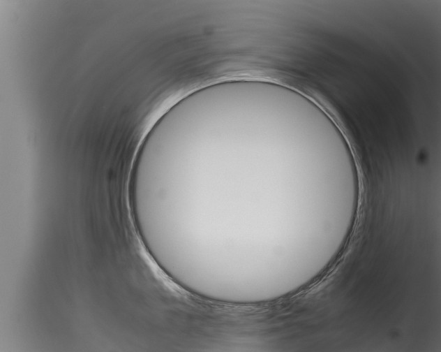 X0000116270909200911301014