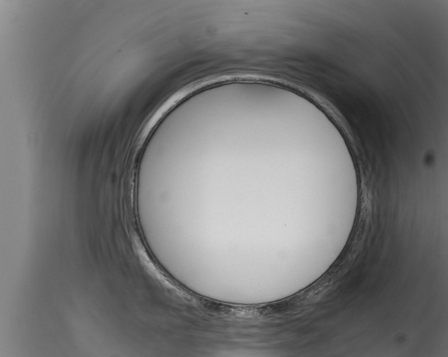 X0000116270911200911301014