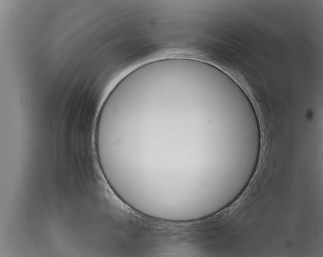 X0000116270912200911301014