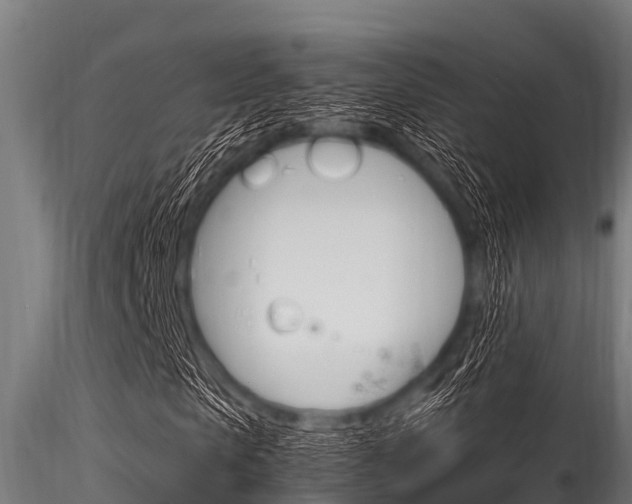 X0000116270913200911301013